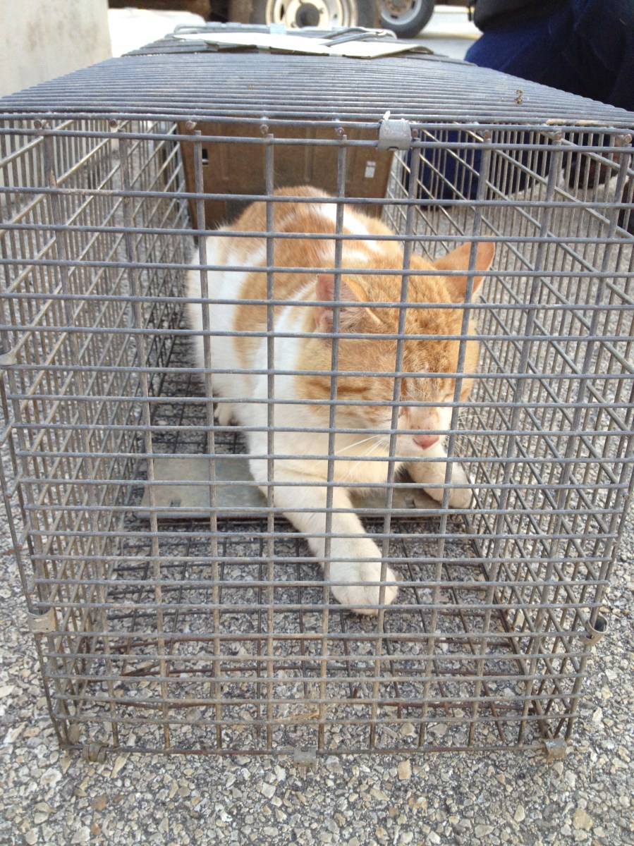 Harry, February 2012