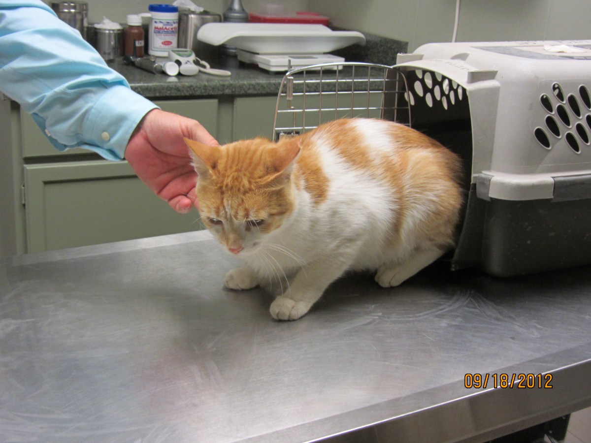 Harry, September 2012