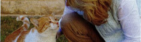 Karen & Harry featured in Cat Fancy, May 2014