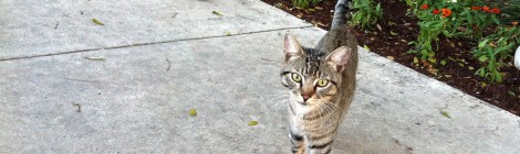 Dell with Victor-April 2014