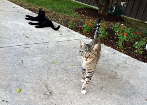 Dell with Victor-April 2014