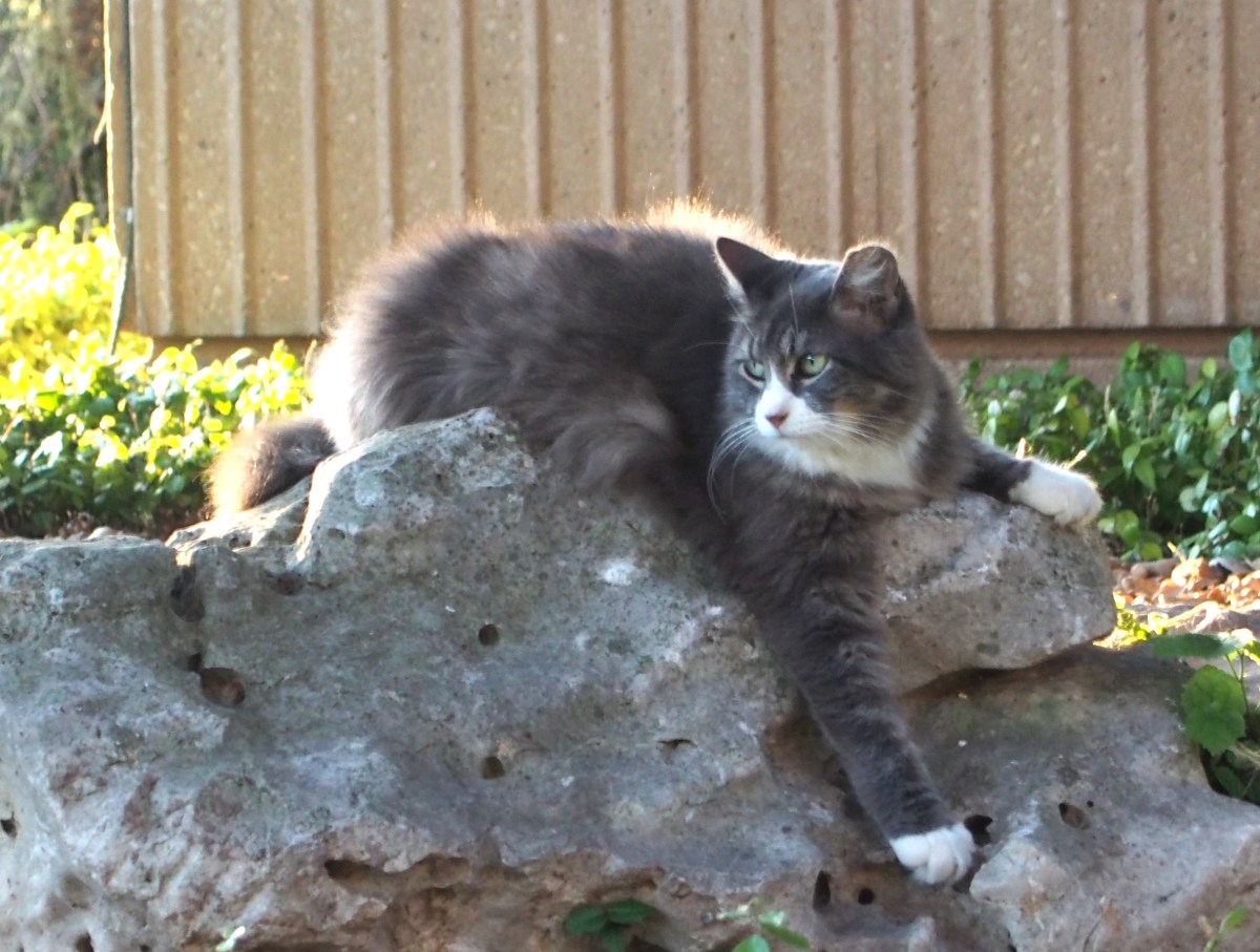 JB @ PE, July 2013