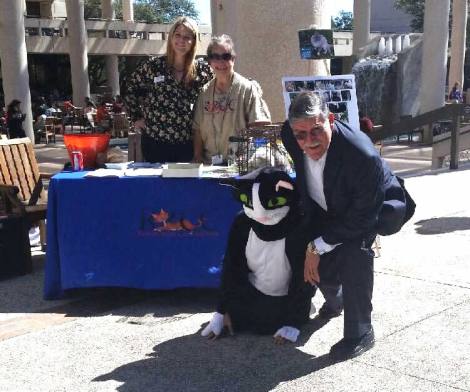 National Feral Cat Day