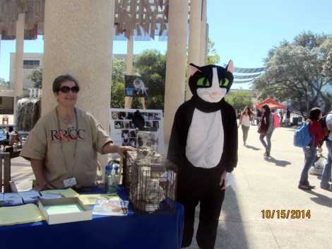 National Feral Cat Day