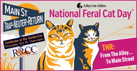 RRCC_NationalFeralCatDay2014