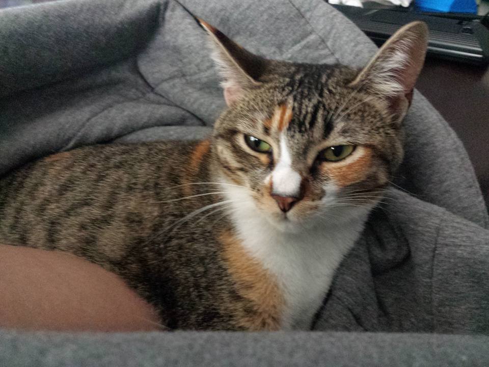 Cali, Rusty's daughter