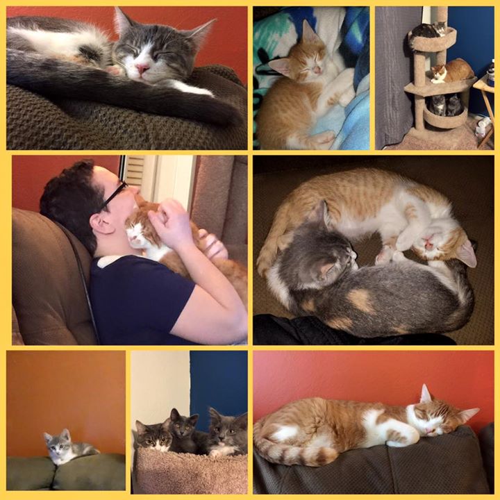 Toulouse & Snowflake