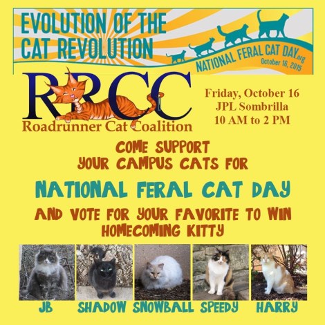National Feral Cat Day, Oct 16, 2015