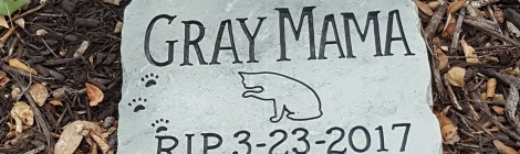 Gray Mama Memorial Stone