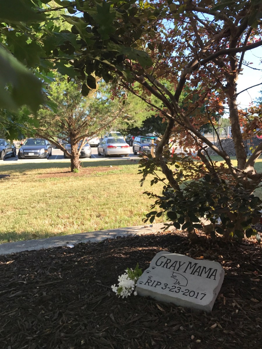 Gray Mama Memorial Stone