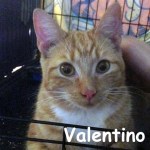Valentino