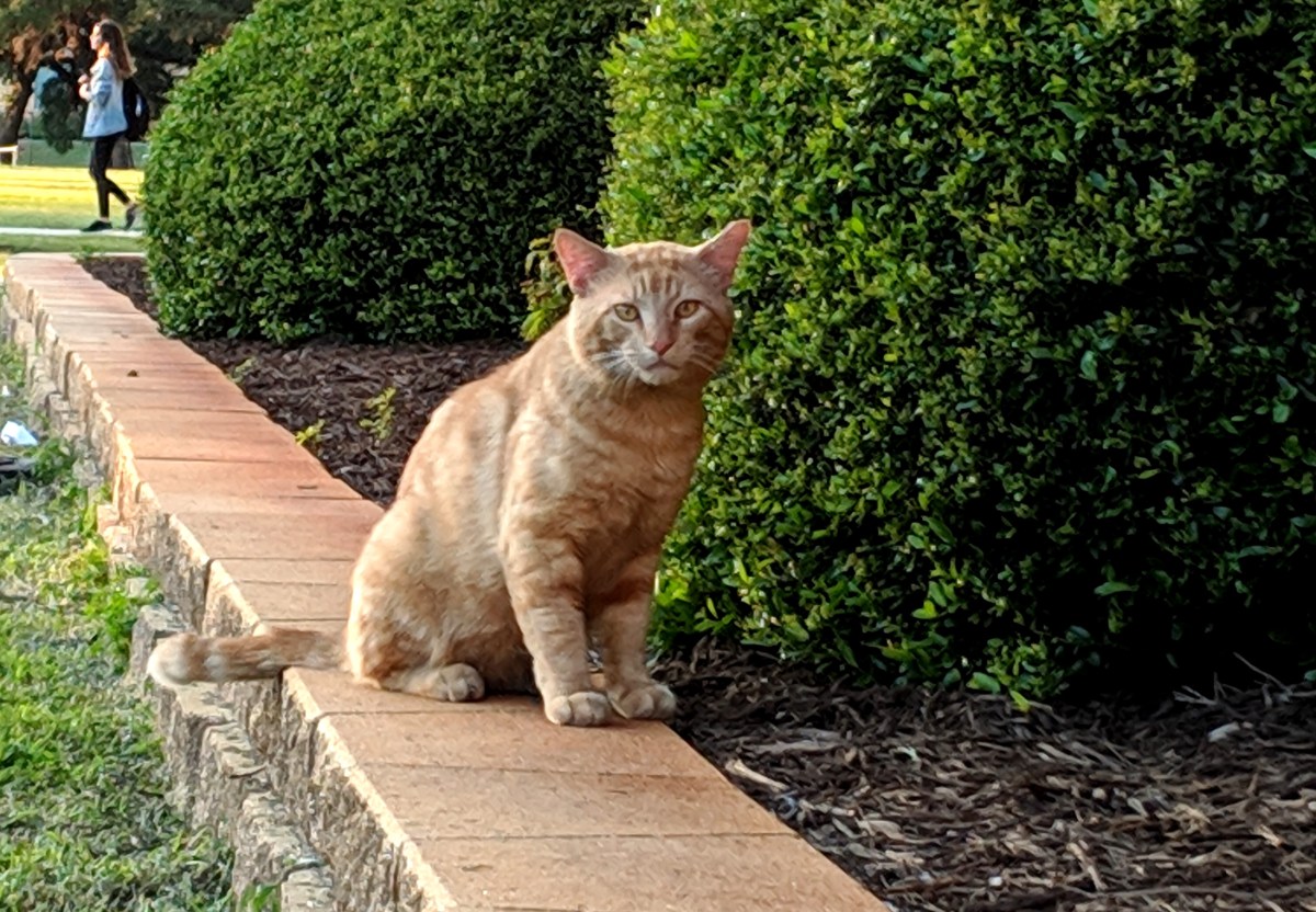 Boze, April 26, 2019