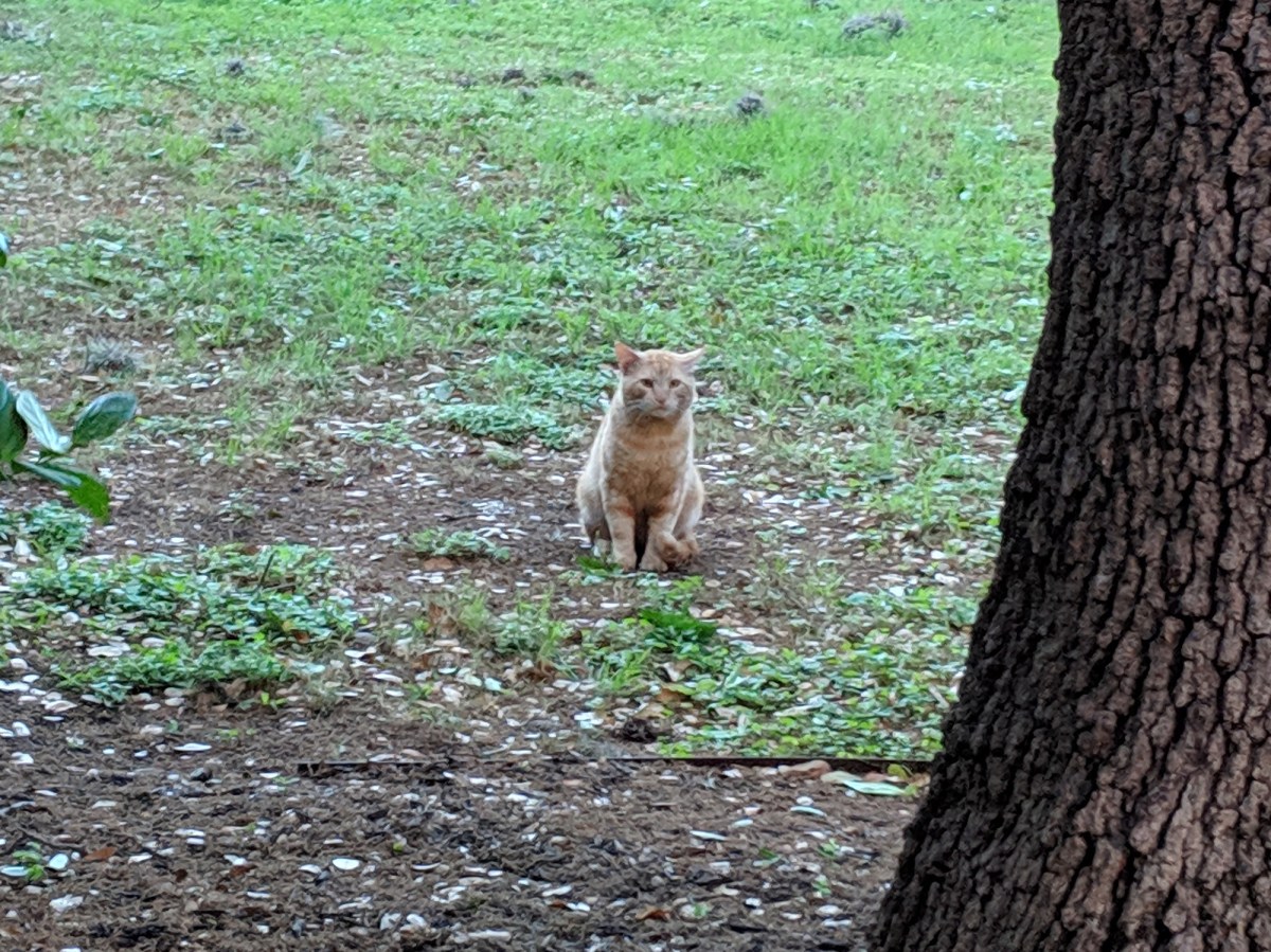 Boze @ PE, April 13, 2019