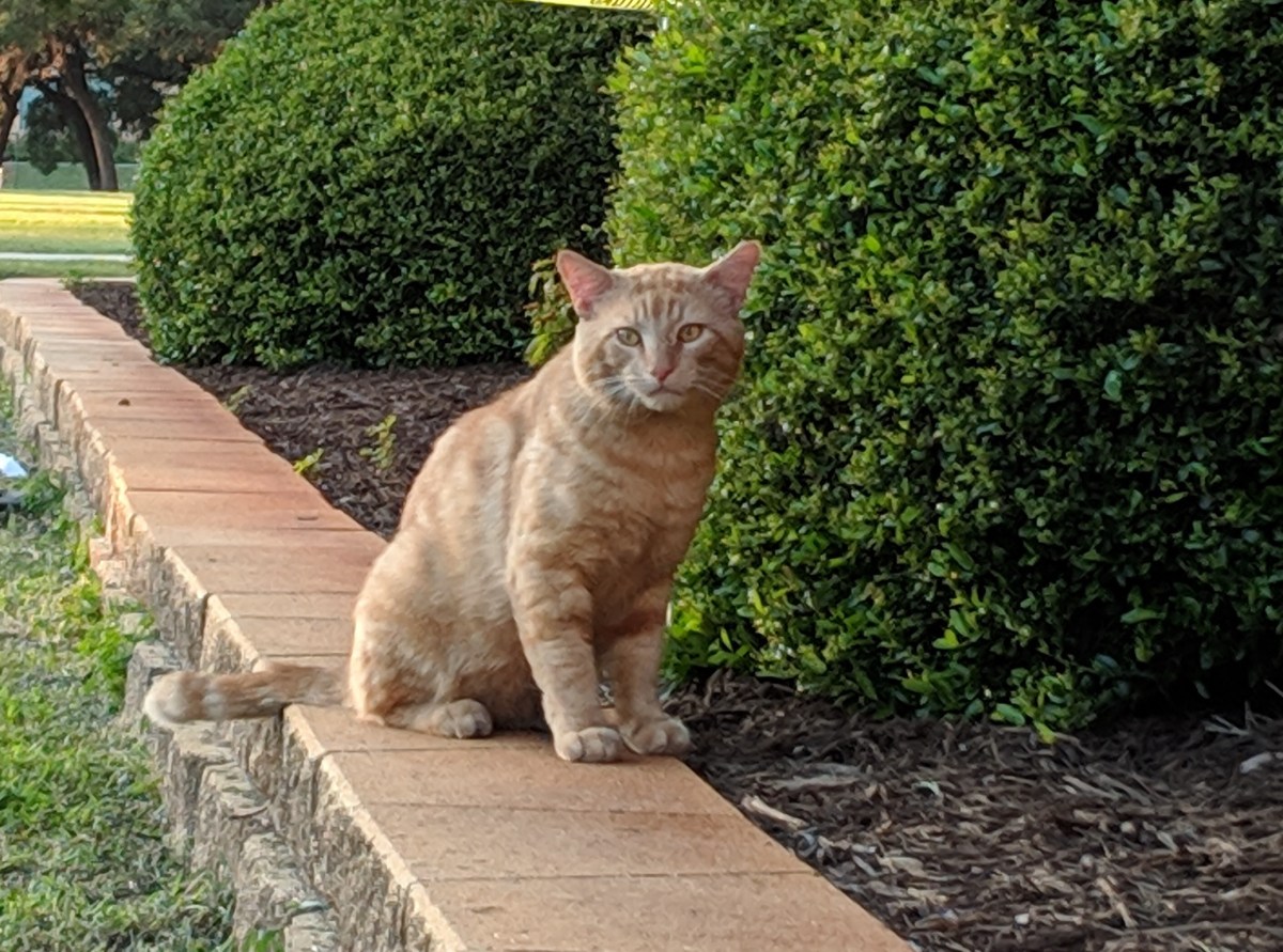 Boze, April 26, 2019