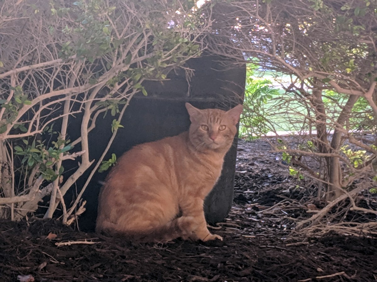 Boze @ Convo, May 21, 2019