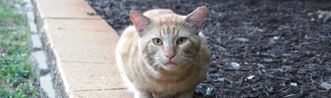 Boze @ Convo, May 25, 2019