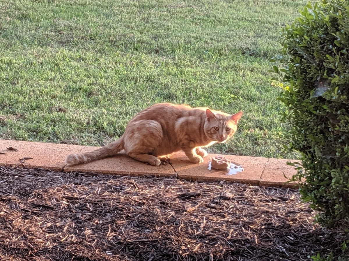 Boze @ Convo, May 21, 2019