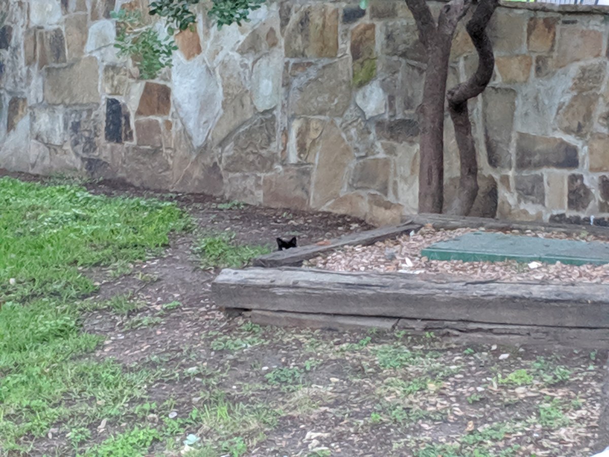 Midnight, May 11, 2019