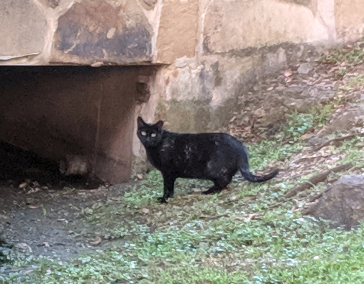 Midnight @ UC Tunnel, May 21, 2019