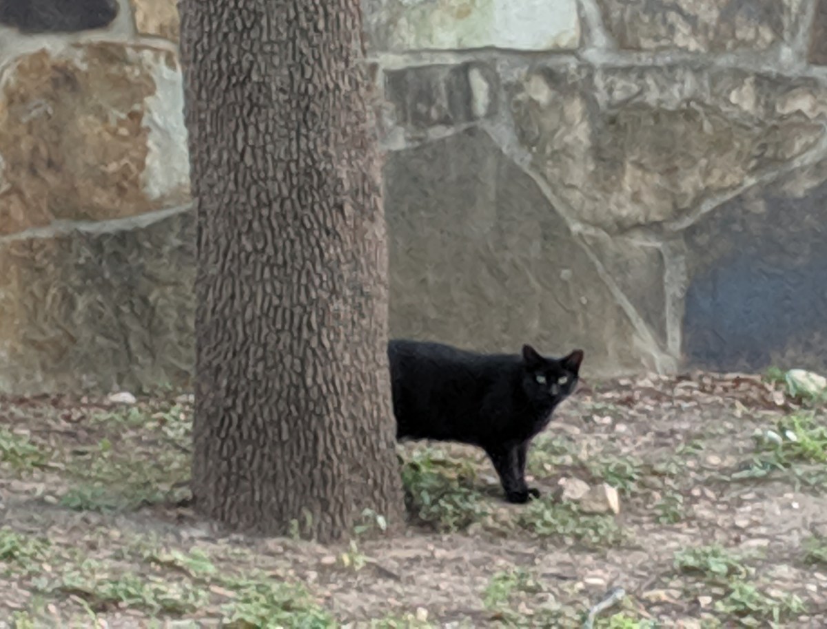 Midnight, May 23, 2019