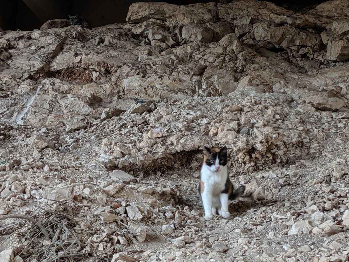 CJ & Chloe, May 31, 2019