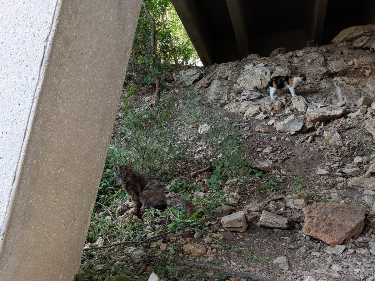 Fluffy & CJ, May 31, 2019