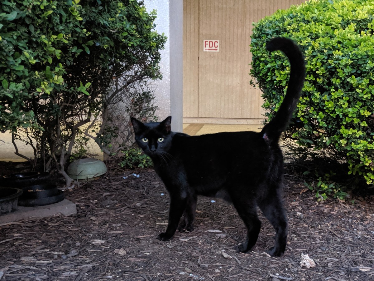 Lucifer, October 15, 2019