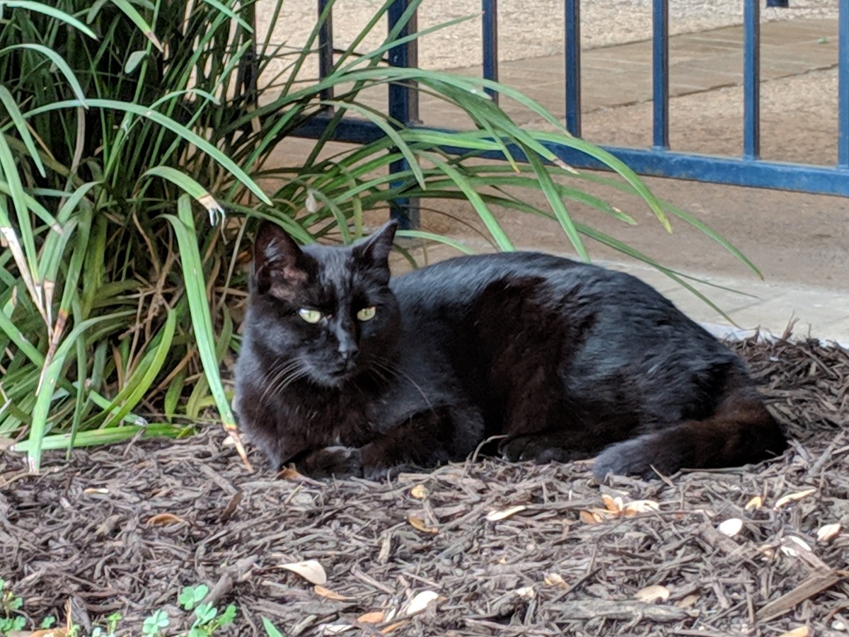 Lucifer, March 29, 2019