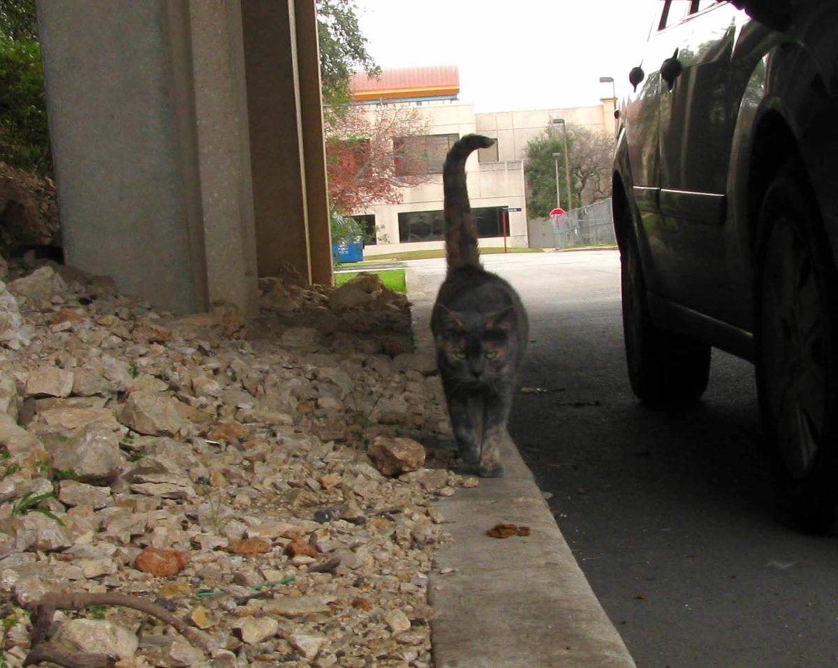 Chloe, December 27, 2019