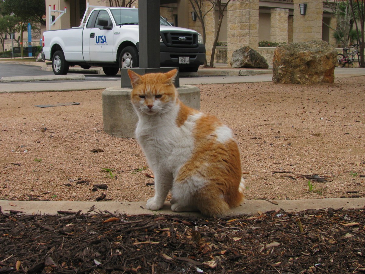 Harry, December 27, 2019