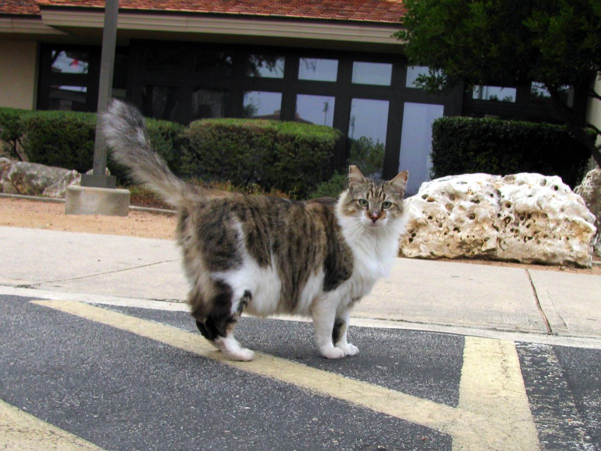 Rocky, December 27, 2019