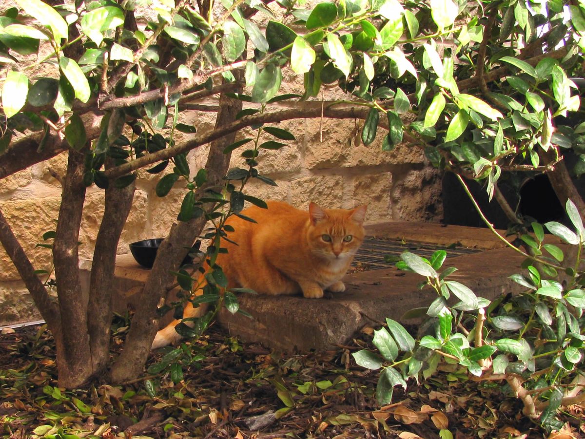 Rusty, December 27, 2019