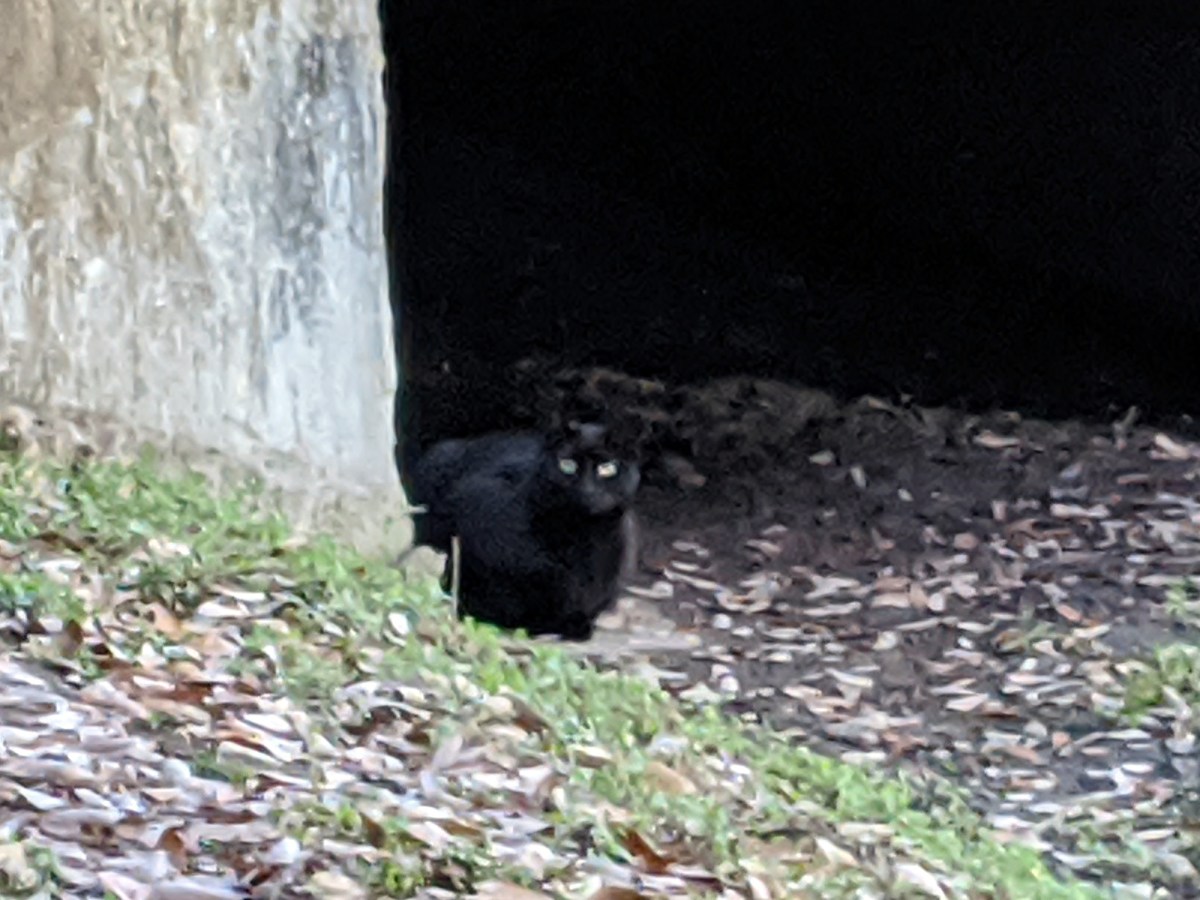 Midnight, March 11, 2020