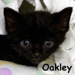 Oakley, December 2, 2019