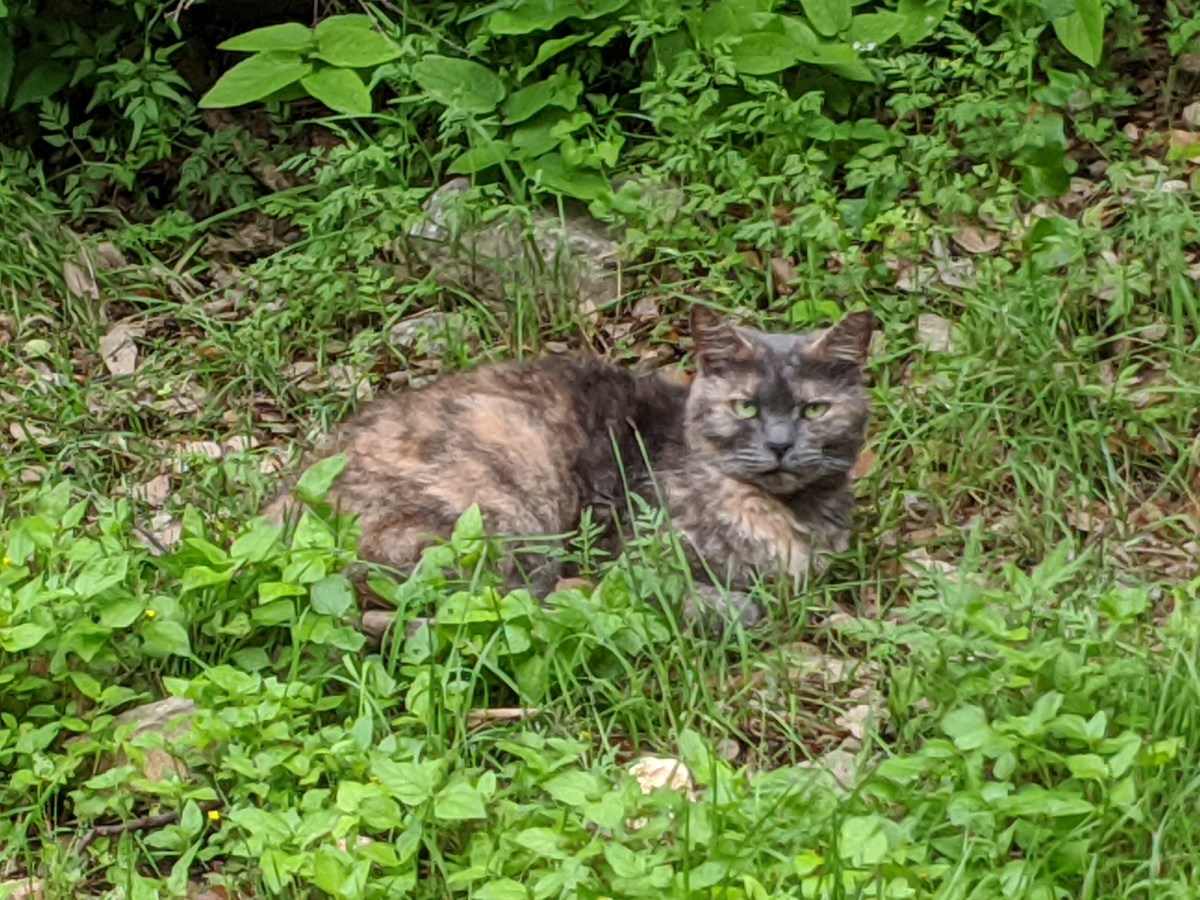 Chloe, April 5, 2020