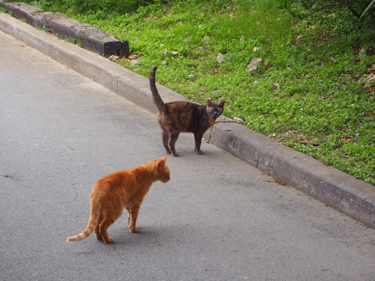 Chloe & Sonny, March 28, 2020