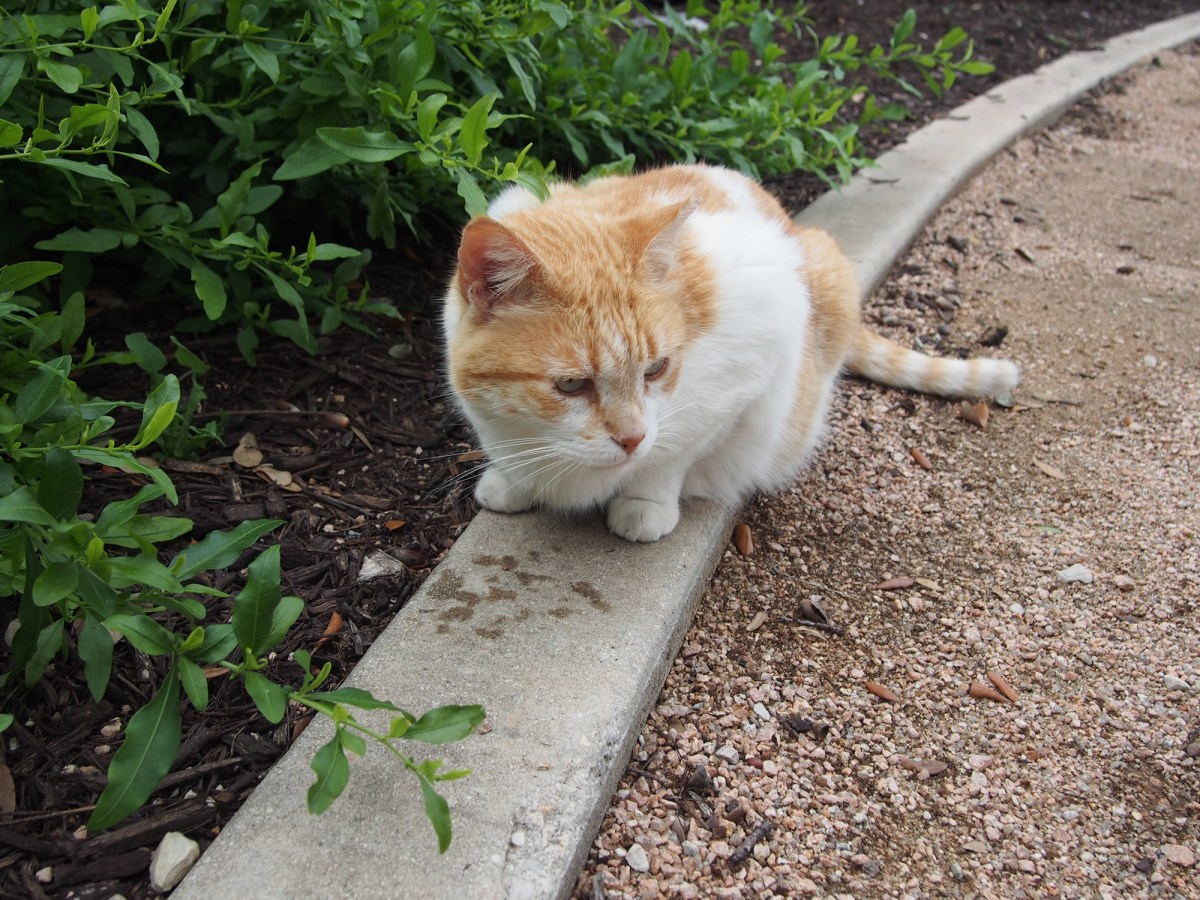 Harry, April 10, 2020