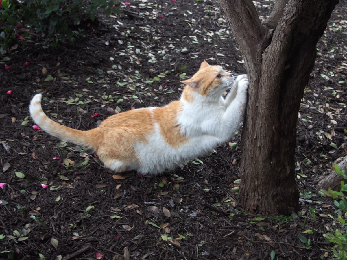 Harry, April 10, 2020