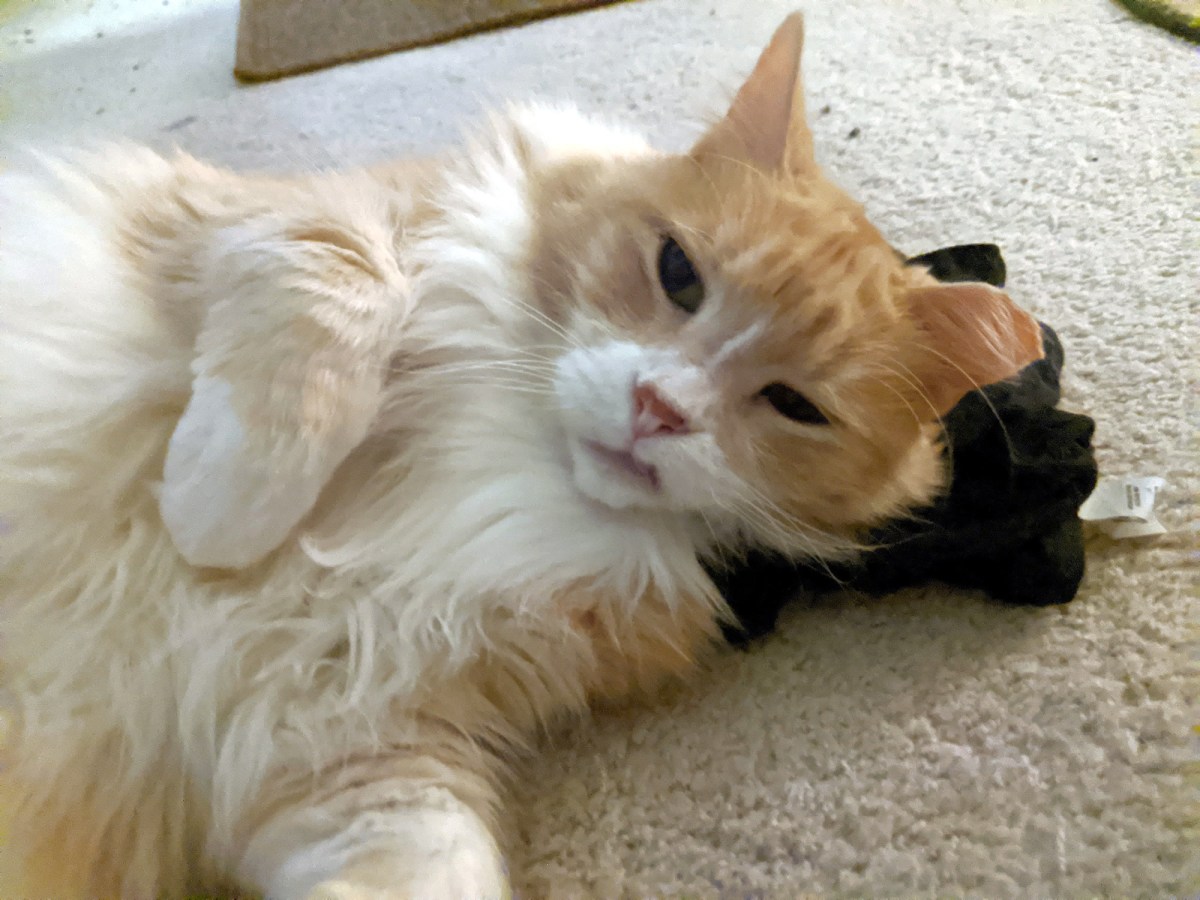 Kelly, April 3, 2020