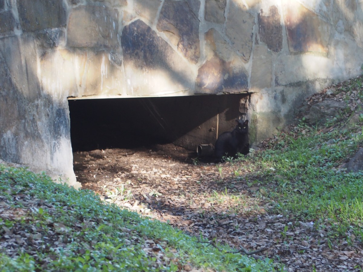 Midnight, April 12, 2020