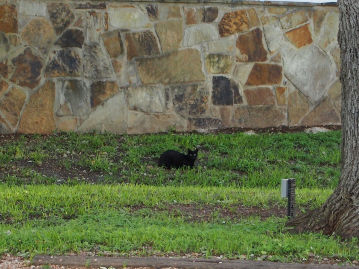 Midnight, April 12, 2020