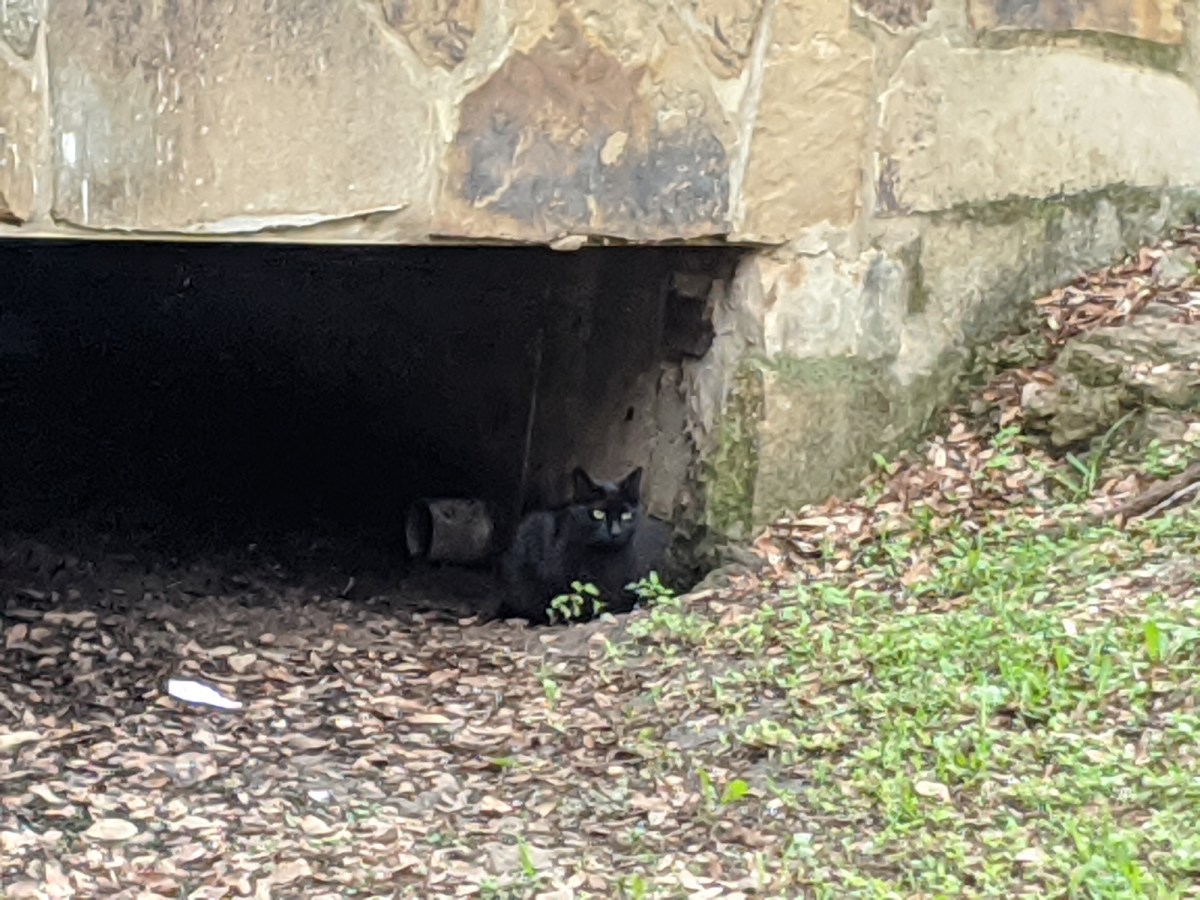 Midnight, April 8, 2020