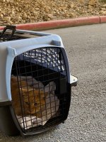 Sonny returning home after recuperating, April 26, 2020