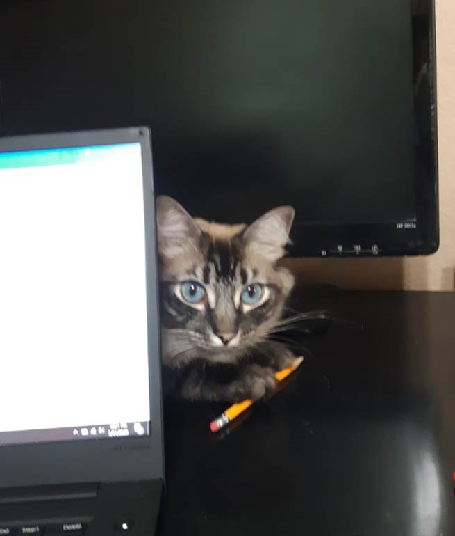 Cooper working as Teaching Assistant, March 31, 2020