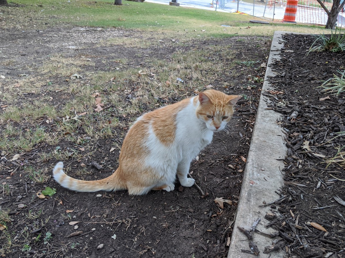 Harry, July 28, 2020