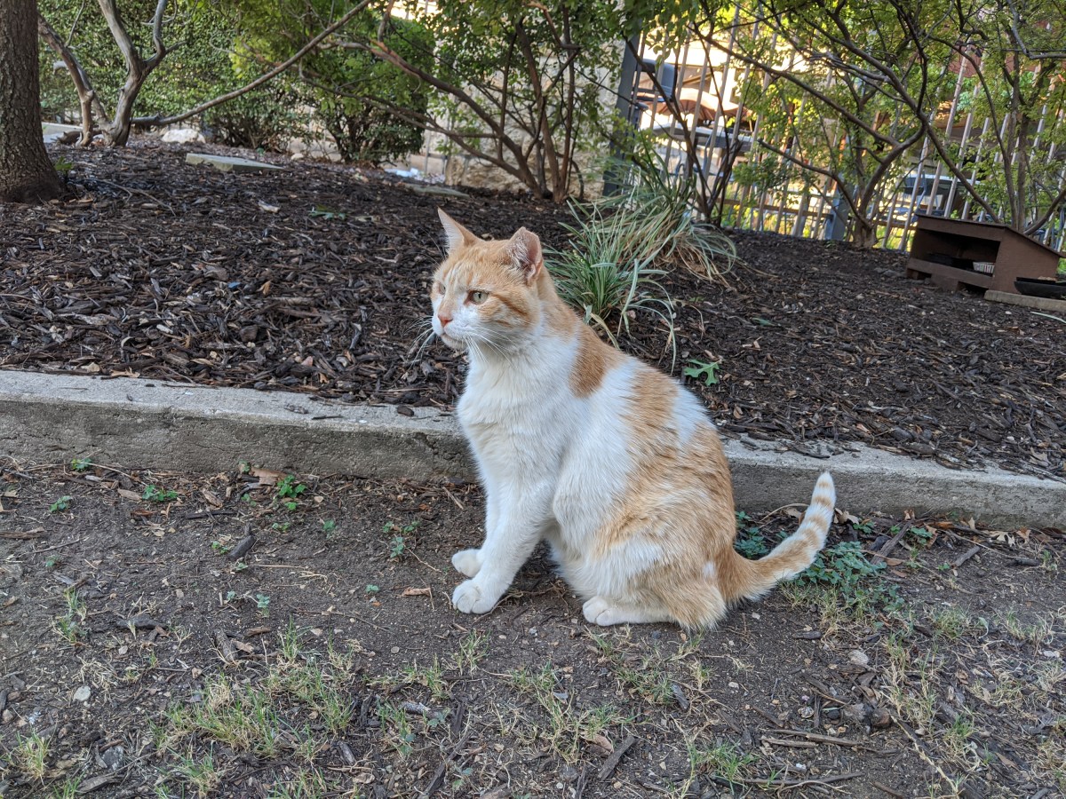 Harry, August 7, 2020