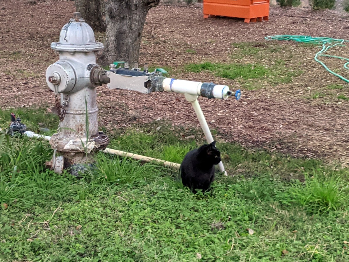 Lucifer, December 21, 2020