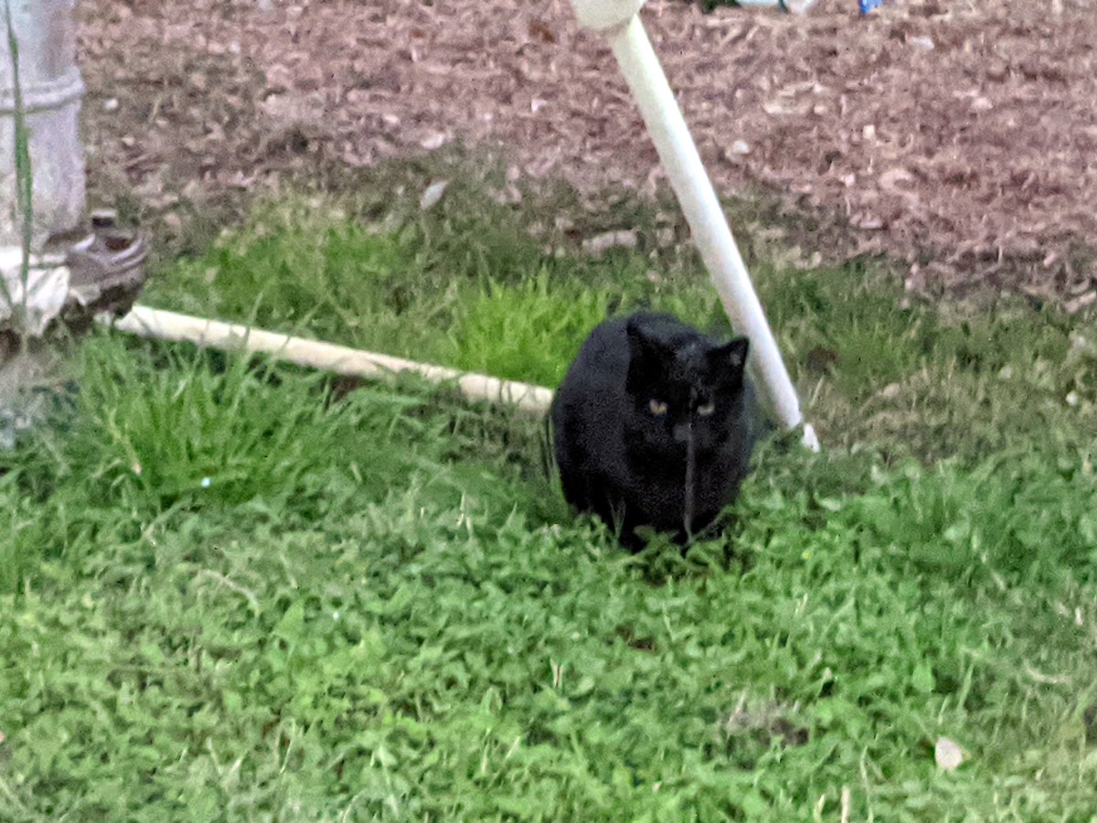 Lucifer, December 21, 2020