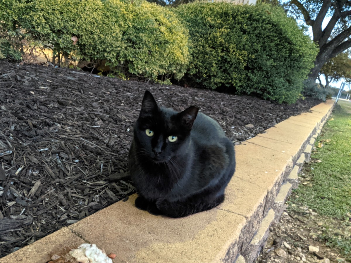 Lucifer, December 24, 2020