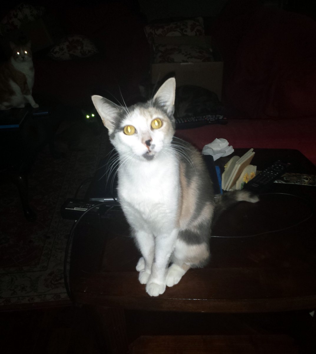 Sandy aka Annabelle, July 23, 2013